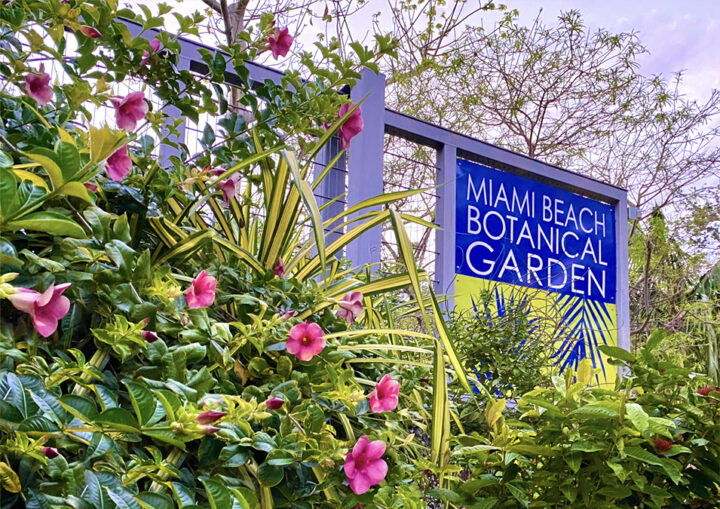 Miami Beach Botanical Garden Mounts Meaningful Exhibitions For The