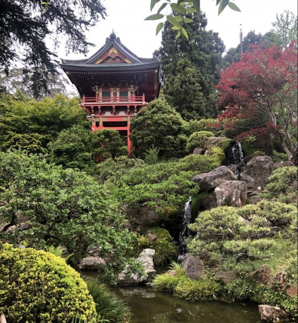 Japanese Tea Garden Buildings and Waterfall