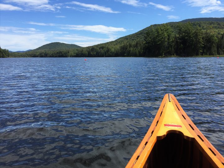 Adirondack Experience: A Museum Exploring Life And Nature In The ...