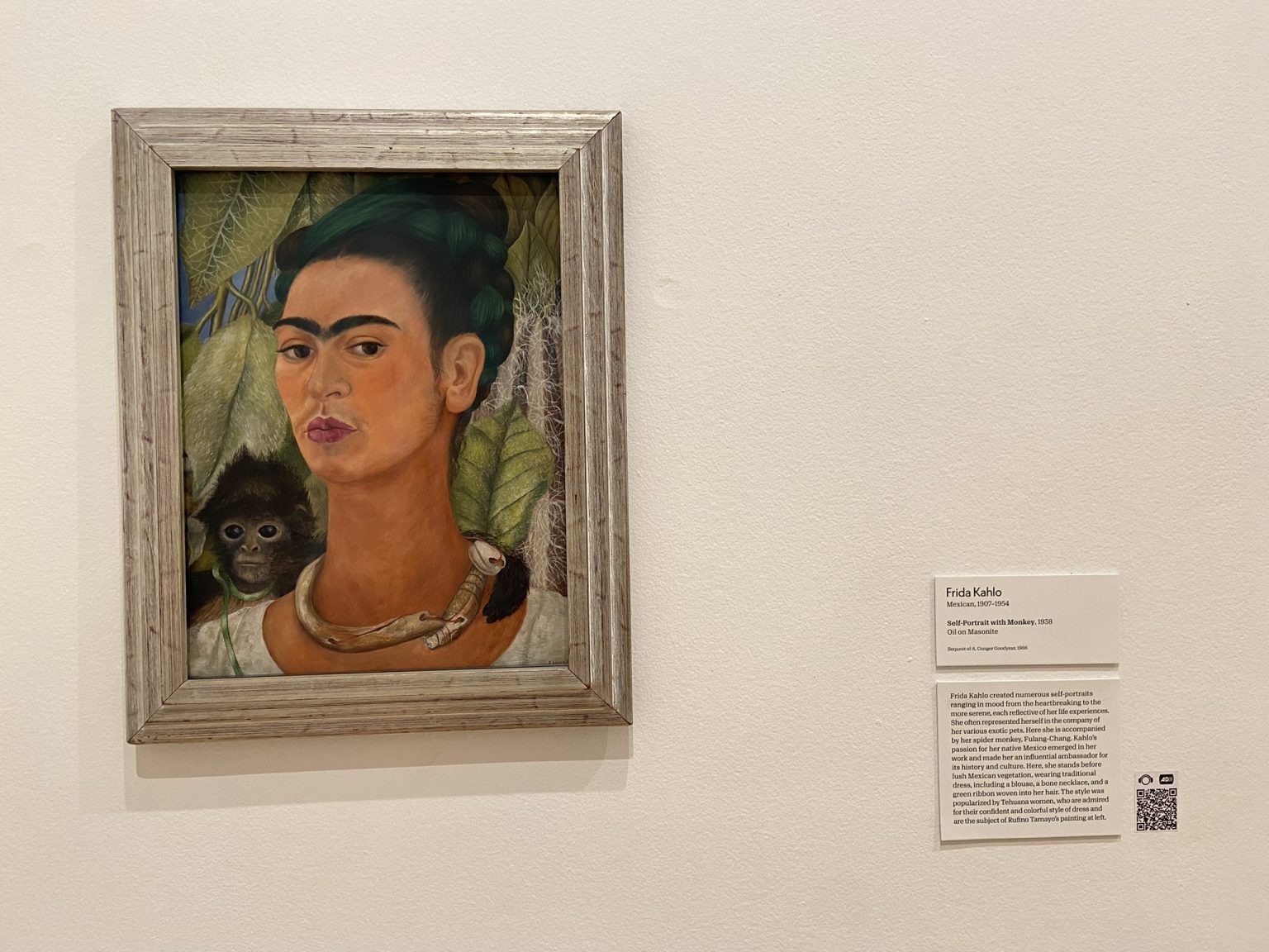 A Museum Transformed: The Buffalo AKG Art Museum – Side of Culture