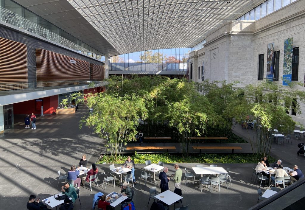 Building Atrium – Side of Culture